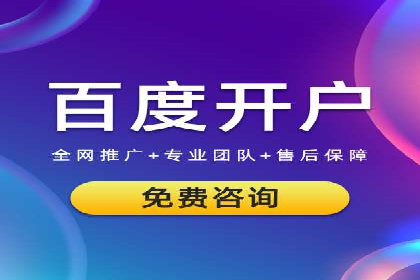 行业领先的SEM竞价广告投放案例